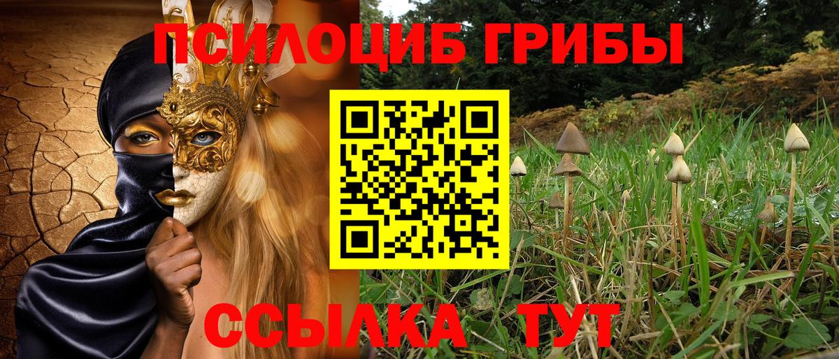 Галлюциногенные грибы Psilocybine cubensis  Вход с VPN  Новоуральск  продажа наркотиков  Галлюциногенные грибы мухоморы 